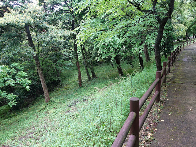 鳥取県西伯郡大山町妻木 鳥取県立むきばんだ史跡公園　弥生の森　遊歩道