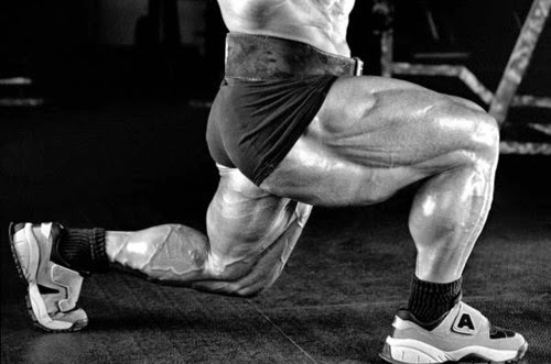 كمال أجسام || تمارين الأرجل - Legs Workout