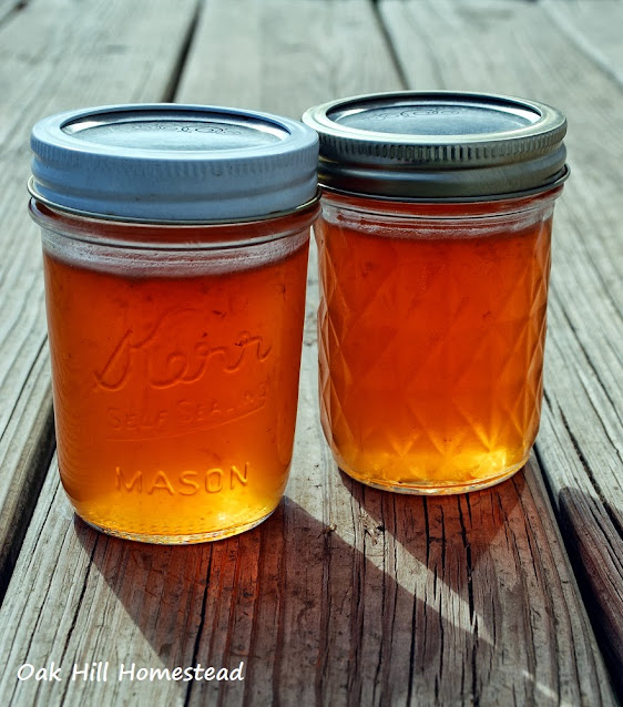 Two pint jars of Harvest apple jelly on a wooden table.