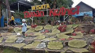 Wisata Taman Kelinci KSP Randegan Pacet Mojokerto