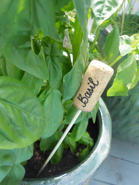 Basil plant marker made out of a recycled wine cork