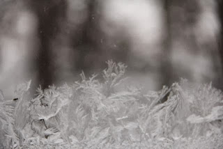 ice on the window pane