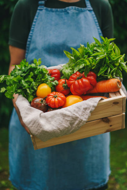 Verduras, ingrediente.