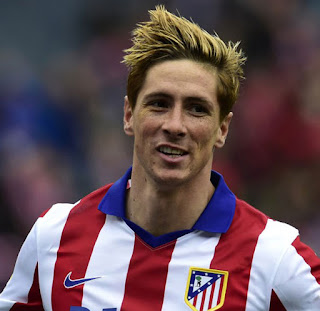 Fernando Torres Surgawin