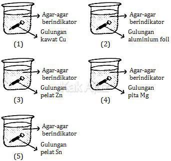 Paku besi dengan gulungan berbagai jenis logam dimasukkan dalam tabung terbuka berisi agar-agar berindikator, percobaan atau eksperimen korosi