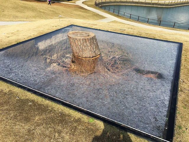 シュールな彫刻が突然現れる!?ときわ公園で開催「UBEビエンナーレ」　根っこ丸見え-宇部の木-