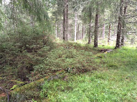 View of Skallbäcken
