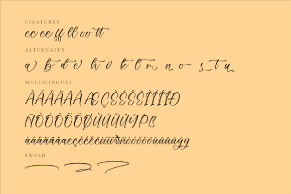 Handwritten Script Font