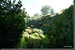 Umpherston Sinkhole Mt Gambier