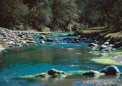 parque nacional el rey ecotourism