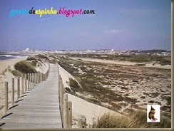 Gazeta de Espinho002-20150316