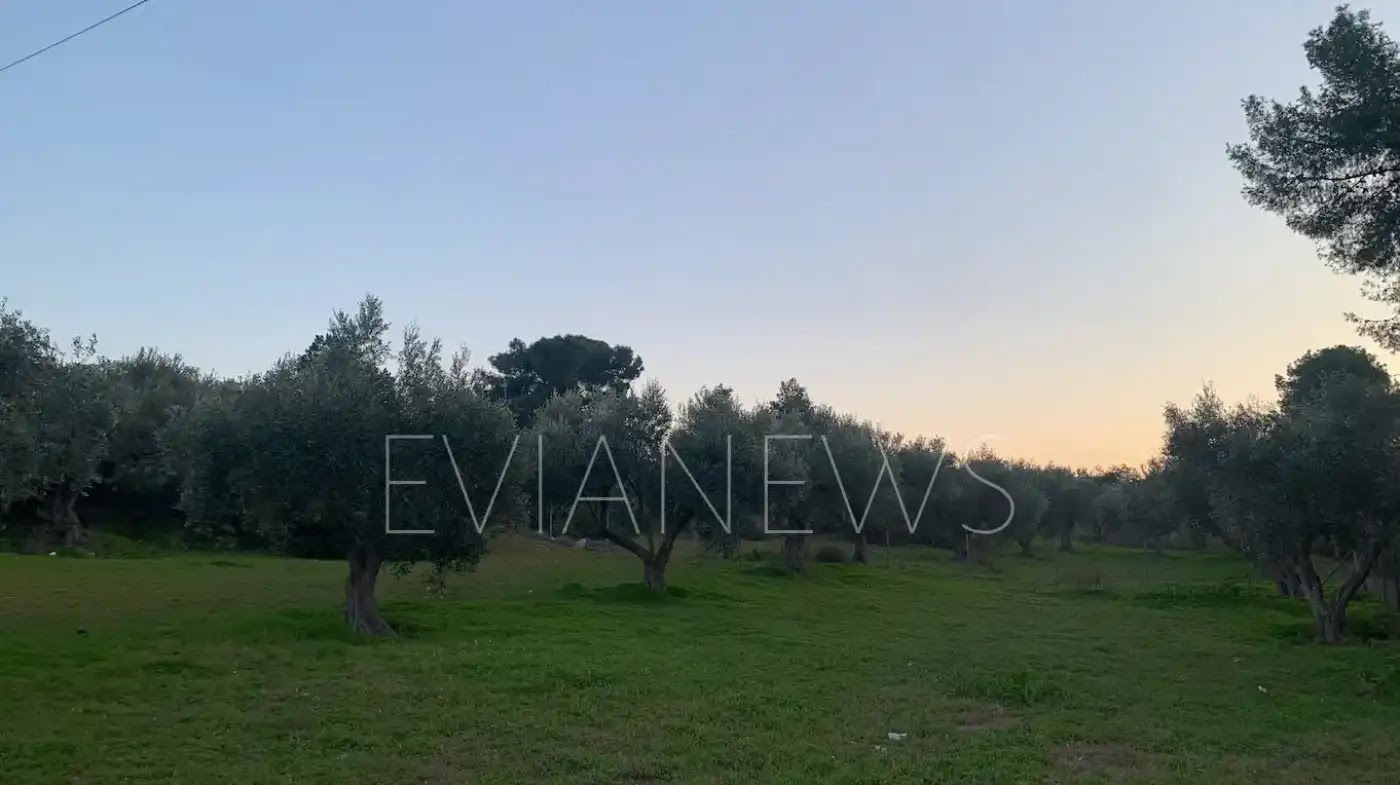 Εύβοια: Το λουλούδι που μιλούσε τους άφησε χωρίς φωνή!