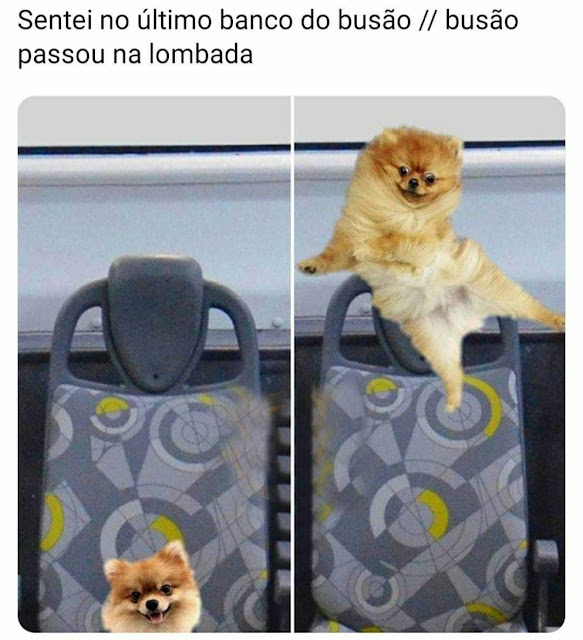 Memes engraçados 