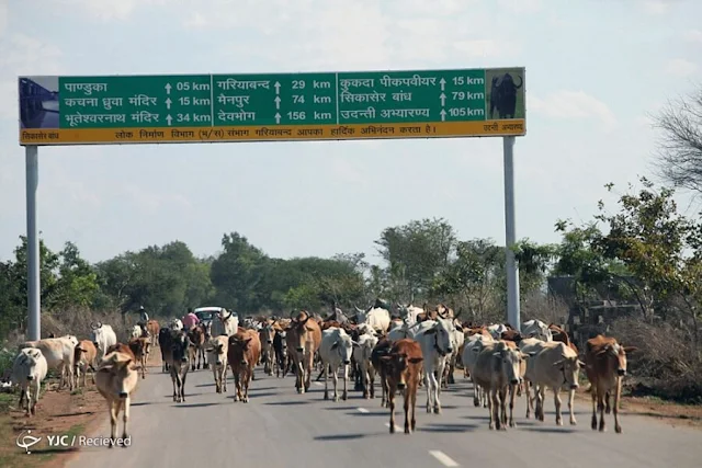 تشاتيسغاره "Chhattisgarh" ، الهند