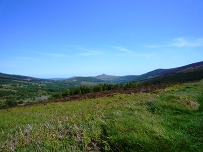 P1020592