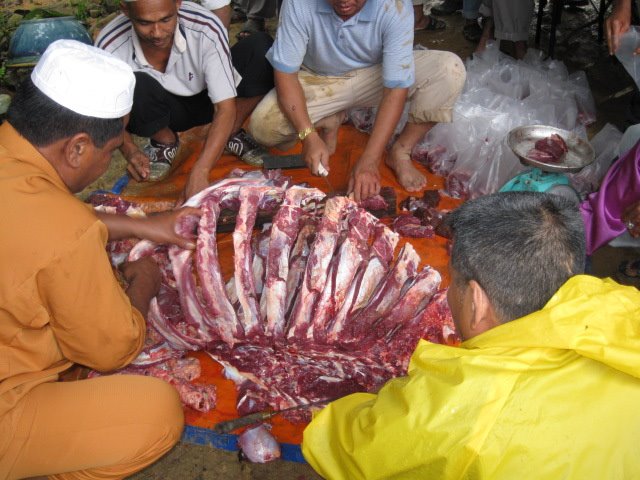 proses melapah daging korban 2008