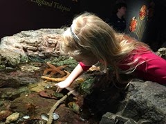 2014-10-09 13.40.21