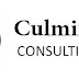 IT Solutions Business Development Manager at Culminate Consulting _ Apply
