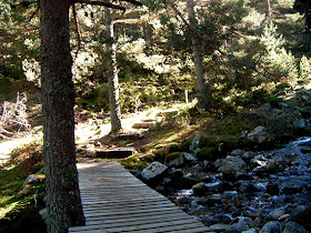 Ruta de Colmenar Viejo al puerto de Cotos. Octubre 2012