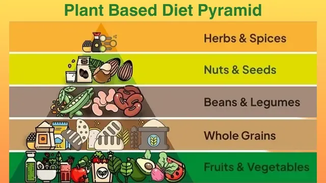 Plant Based Diet Pyramid