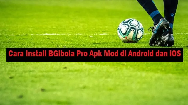 BGibola Pro Apk