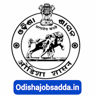 OSSC New Recruitment 2024 ! Apply Online For 600+ Posts ! 12th Pass Jobs Apply Now