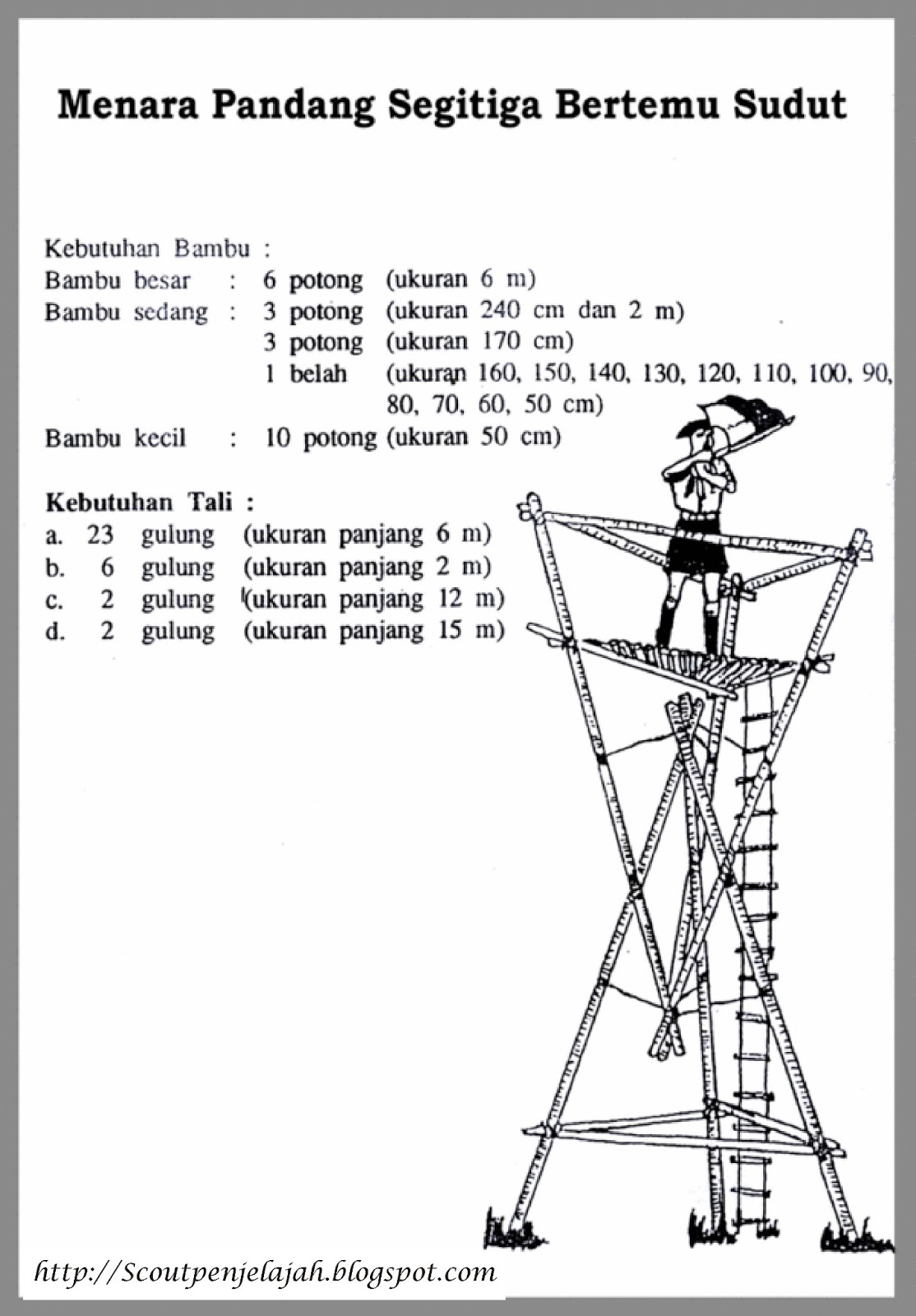 Pionering  Pustaka Pandani