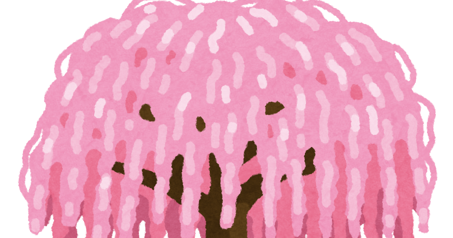 枝垂れ桜のイラスト かわいいフリー素材集 いらすとや 枝垂れ桜のイラスト かわいいフリー素材集 いらすとや