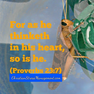 For as a person thinketh in their heart, so are they. (Proverbs 23:7)