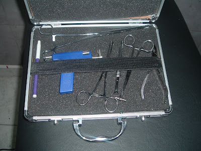 colocacion piercing. Catalogo de Piercing + Kit de