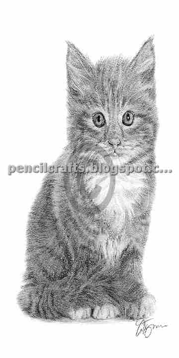 How to Make Cartoon Cat Color Pencil Drawings,Sketches