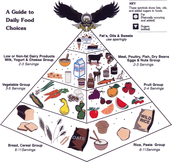 five food groups pyramid. dresses food groups pyramid