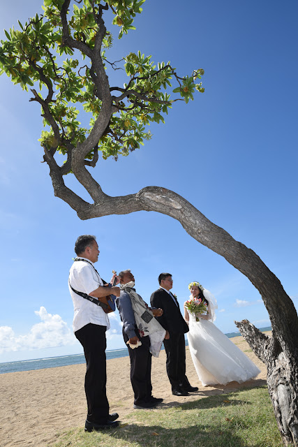 Hawaiian Dream Wedding