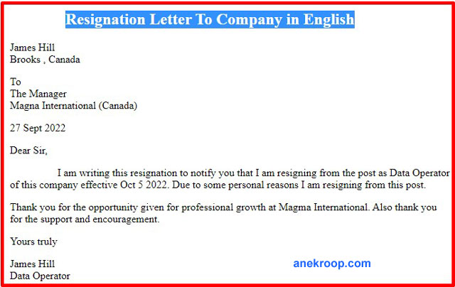 resignation letter to company in english