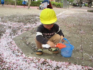 公園で桜の花びら遊び