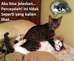 gambar lucu untuk bbm