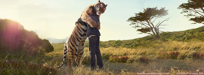 Facebook Timeline Cover Of Tiger Hug.