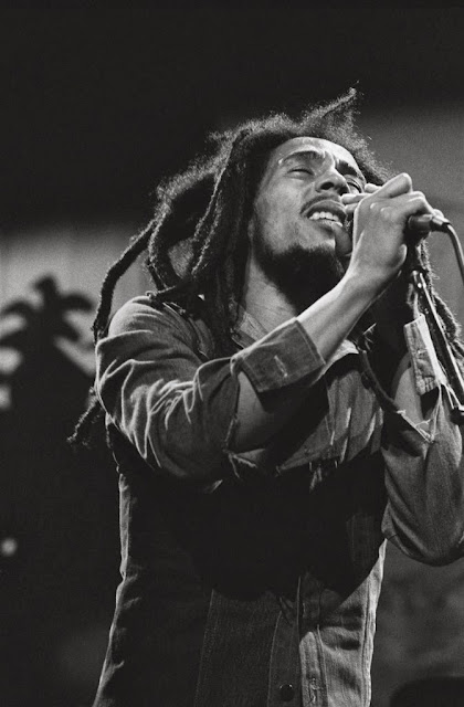 MusicTelevision.Com presents Bob Marley Live