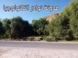 وادي دوعن المشهور في إنتاج عسل السدر