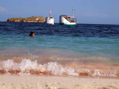 Bored alongside white sandy beaches together with dark Pink Beach inwards Indonesia