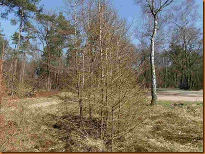Herschaalde kopie van SAM_0383