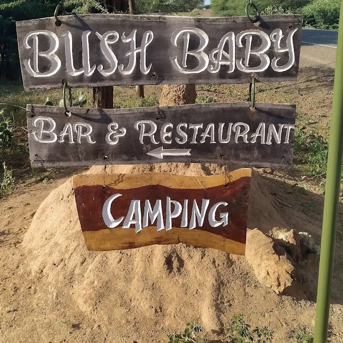 Bush Baby Camp - Lake Baringo<div class="bubo"><div class="d-flex mb-3"><small class="border-end me-3 pe-3"><i class="fas fa-campground"></i> Camping ground</small>  <small class="border-end me-3 pe-3"><i class="fas fa-shower"></i> Shower</small> <small><i class="fas fa-plug"></i> Electricity</small> <small><i class="fa fa-wifi text-primary me-2"></i> Wifi</small></div><div class="queryMessage" style="background-color:#ff87306e;margin:0;"><span class="query-info query-success"><b>$15/Night/Person</b></span></div></div>