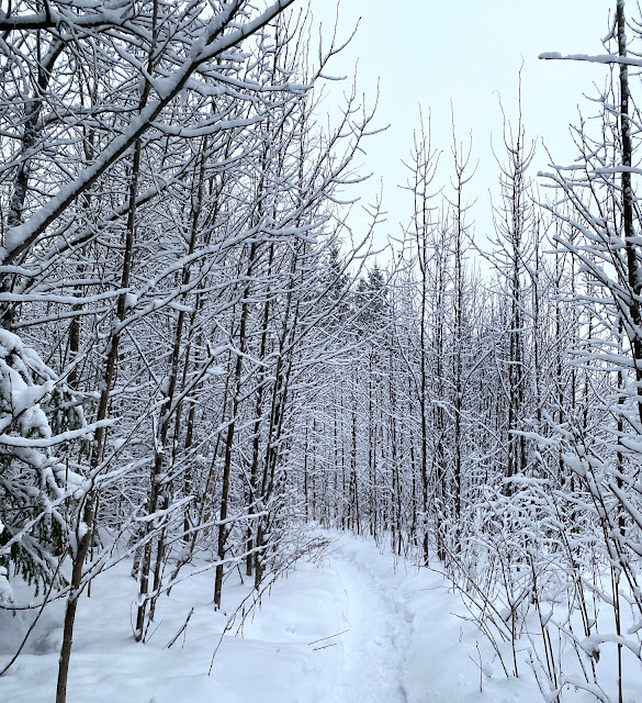 Luminen polku.