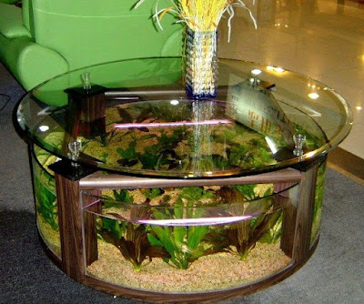 Model Meja Aquarium