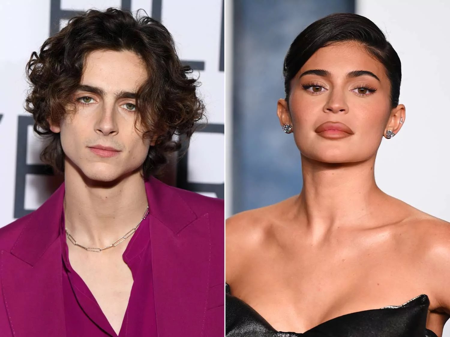 Kylie Jenner and Timothee Chalamet Exploring the Delicate Relationship