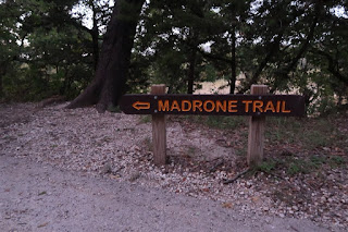 The Madrone Trail Trailhead