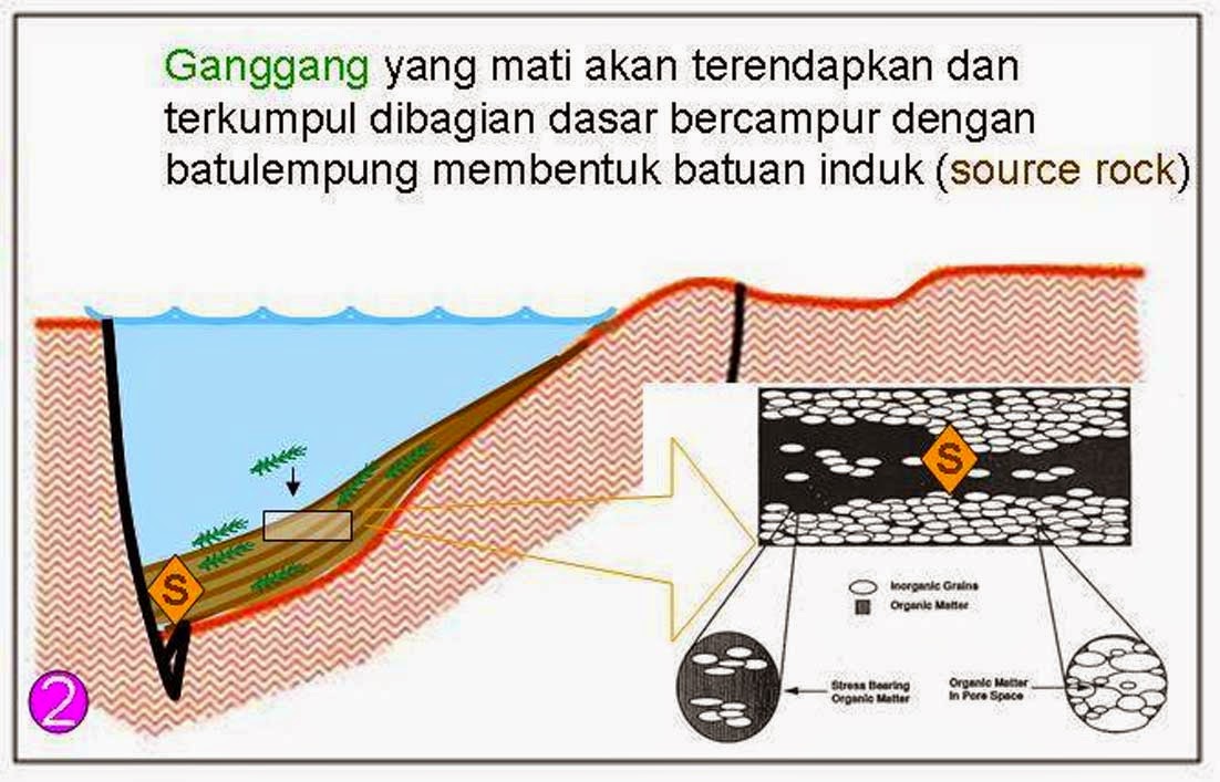 Asal Usul Minyak Bumi