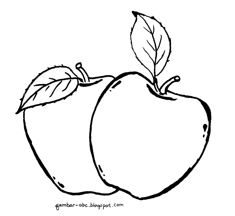 Contoh Sketsa Gambar Buah Apel - Gambar Buah Buahan