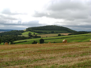 Looking south from the edge of Stoke Wood to Burrow Hill