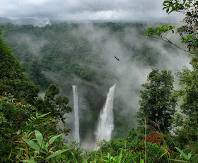 Tropical rain forest in Southern Laos